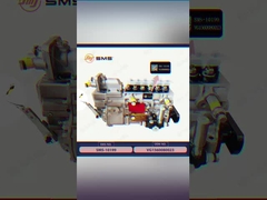 VG1560080023 ईंधन इंजेक्शन पंप HOWO ट्रक पार्ट्स WD615.69/47