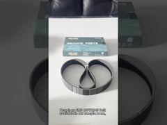 10PK1045 बेल्ट